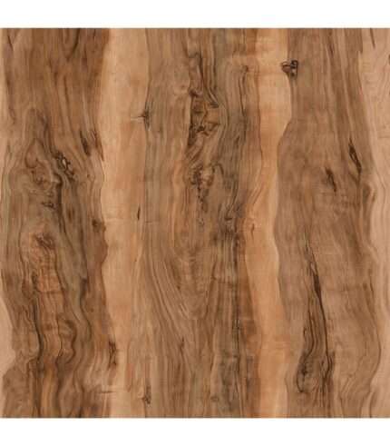 Kastamonu A572 Bengala